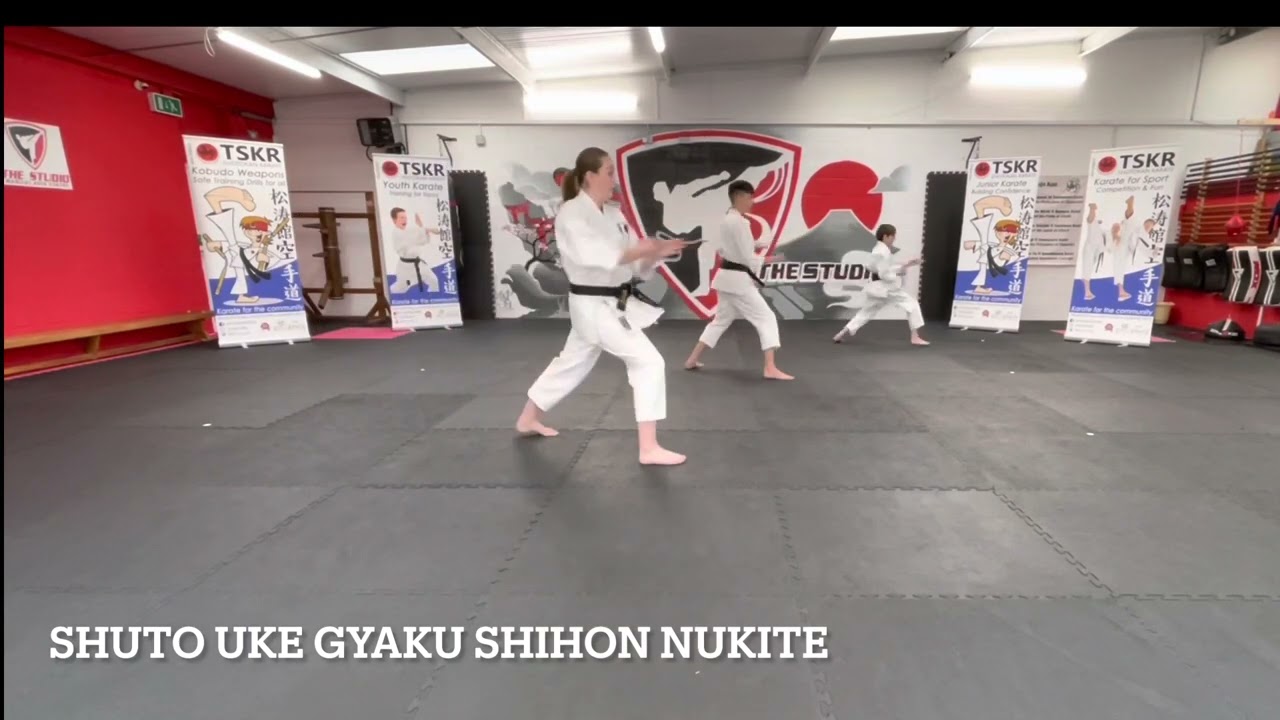 6th Kyu Karate Kihon Basics  Green Belt 6th Kyu