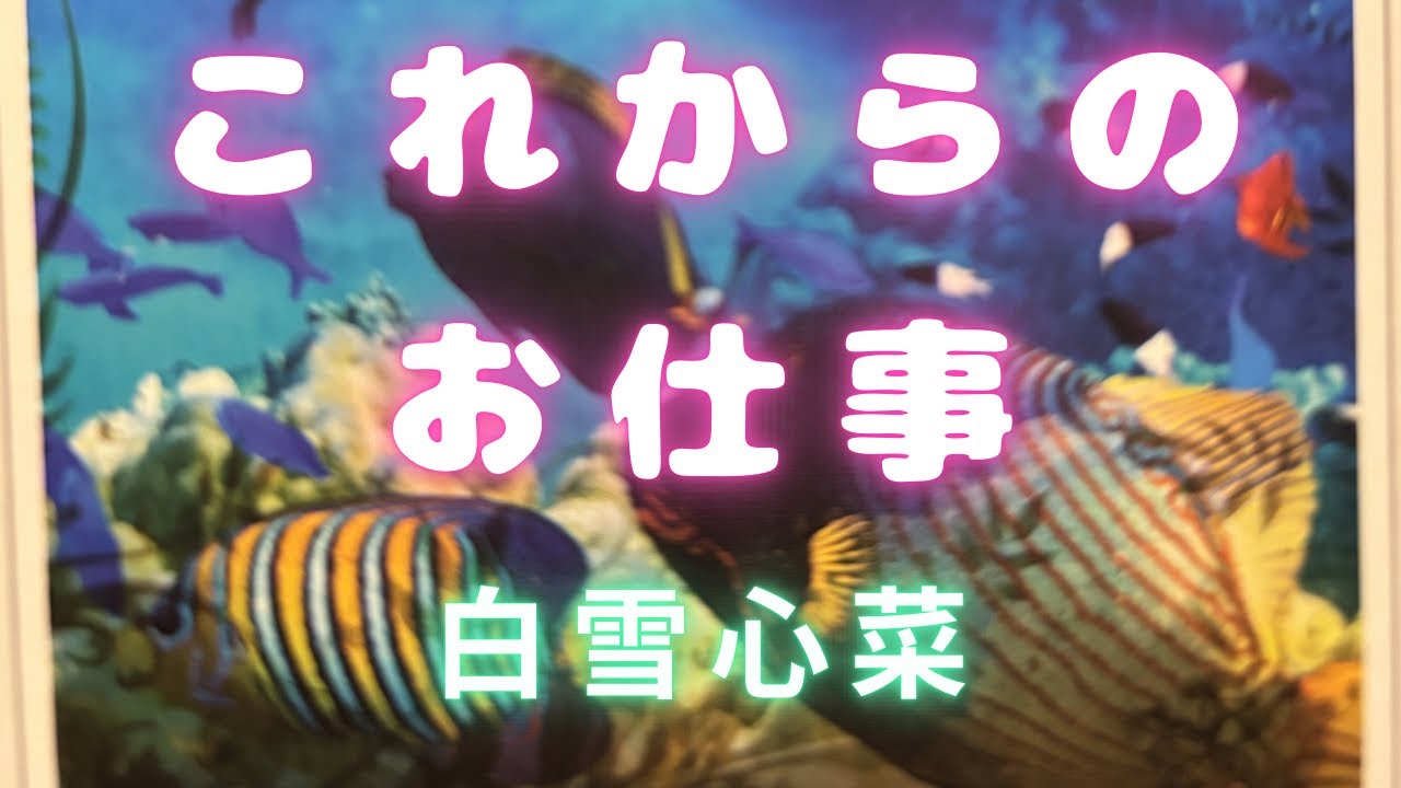 【タロット】周りの人間関係は？
