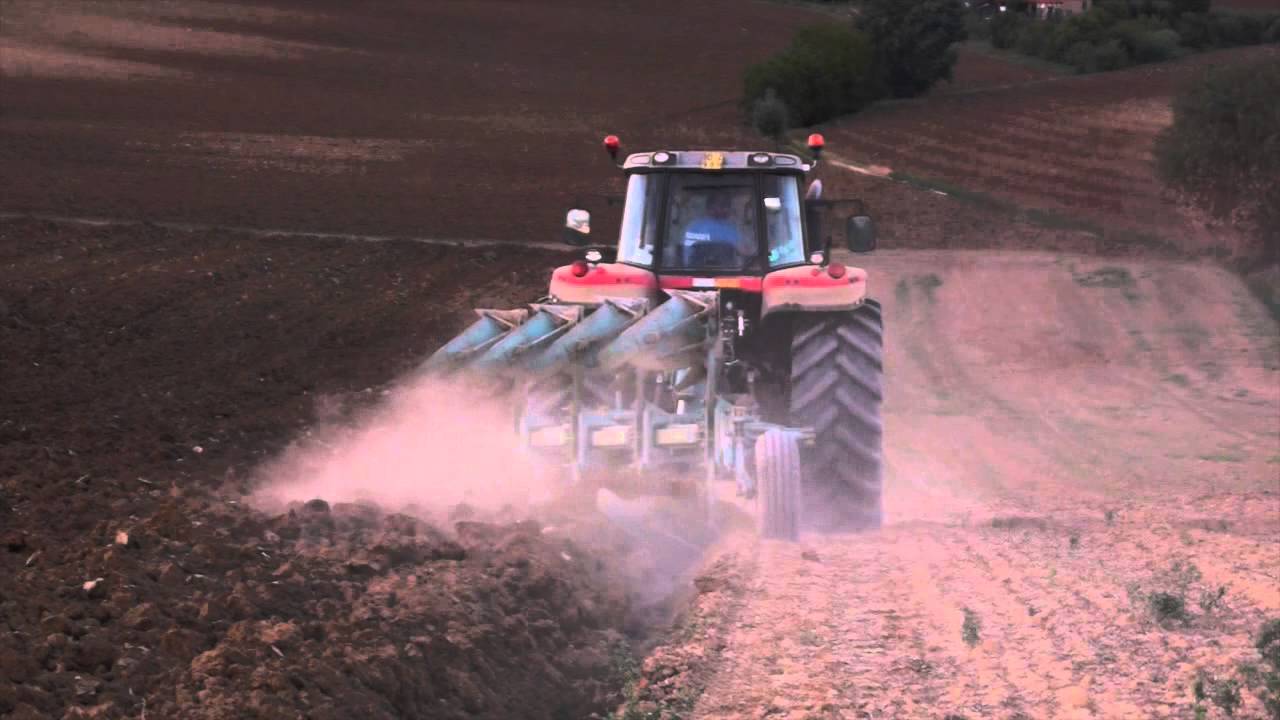 MASSEY-FERGUSON 8480 dyna-vt - aratro nardi