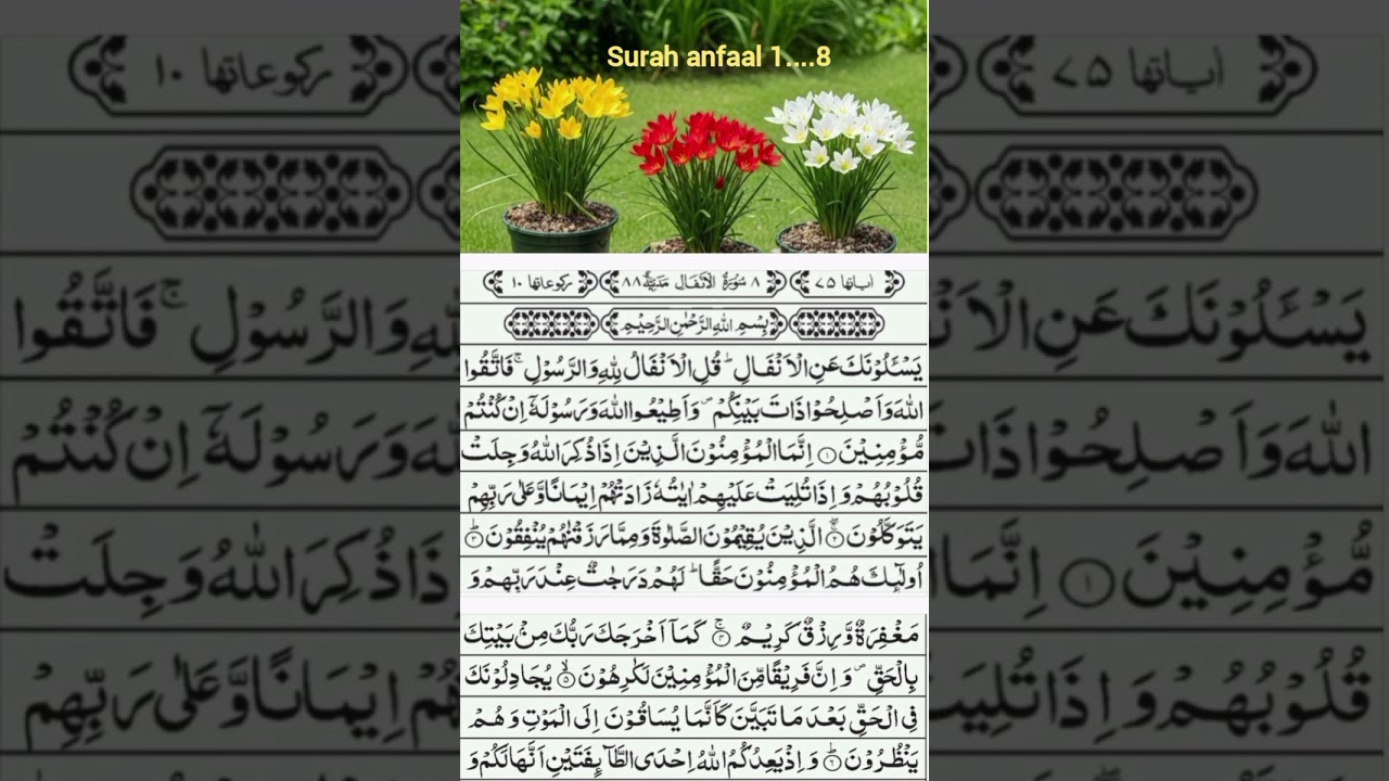 Surah anfaal ...ayah 1...8....the beginners course.....word to word translation with short tafseer 