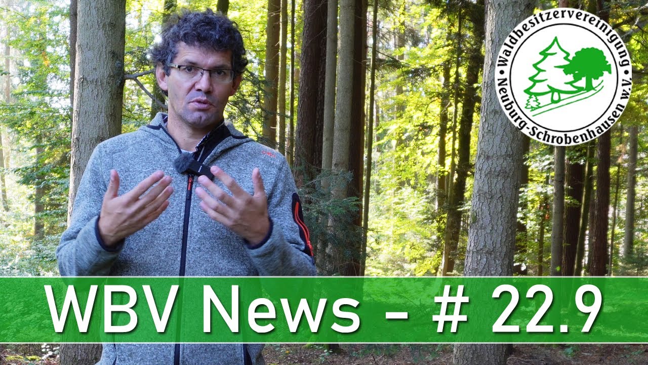 WBV News 22.9 - Alles zum aktuellen Holzmarkt