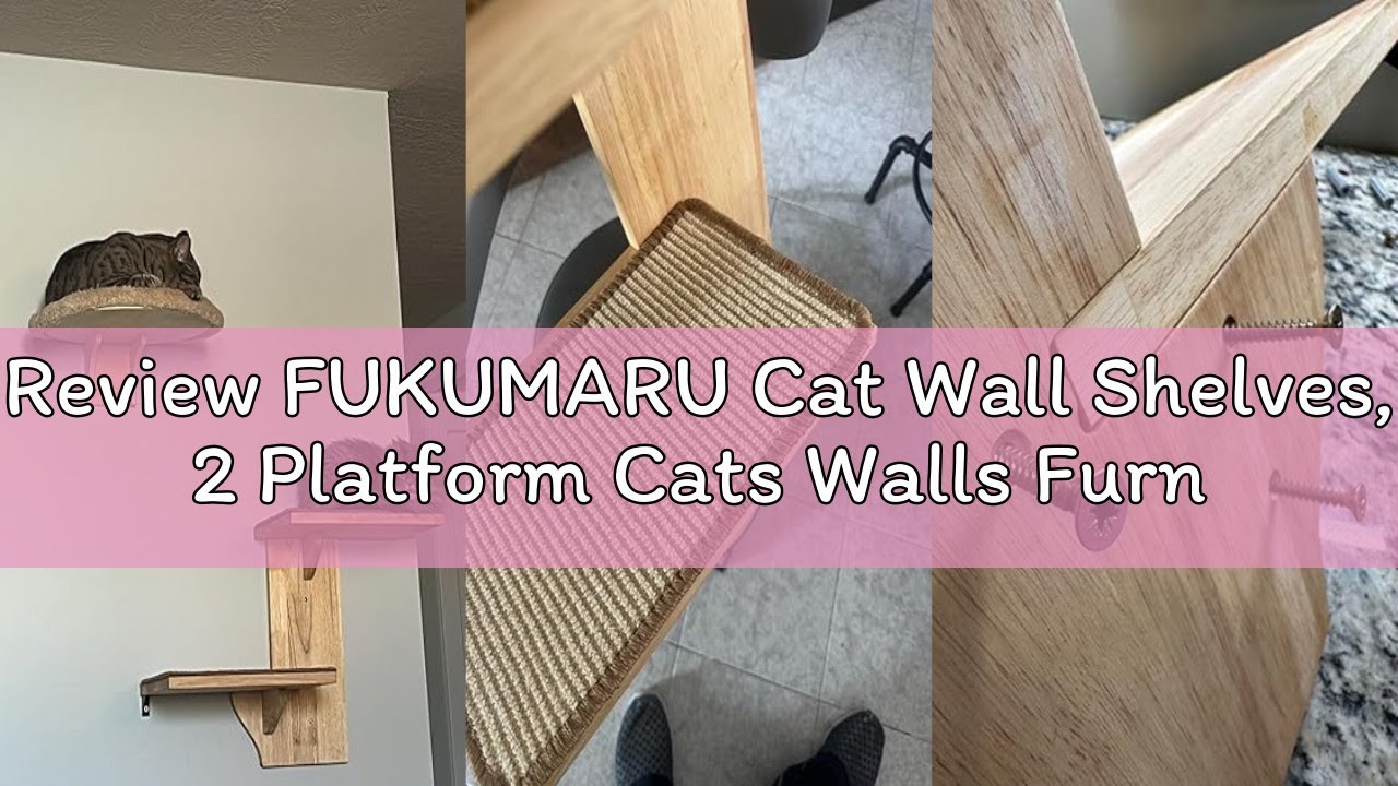 Review FUKUMARU Cat Wall Shelves, 2 Platform Cats Walls Furniture, Tree Shape Kitten Floating Shelf