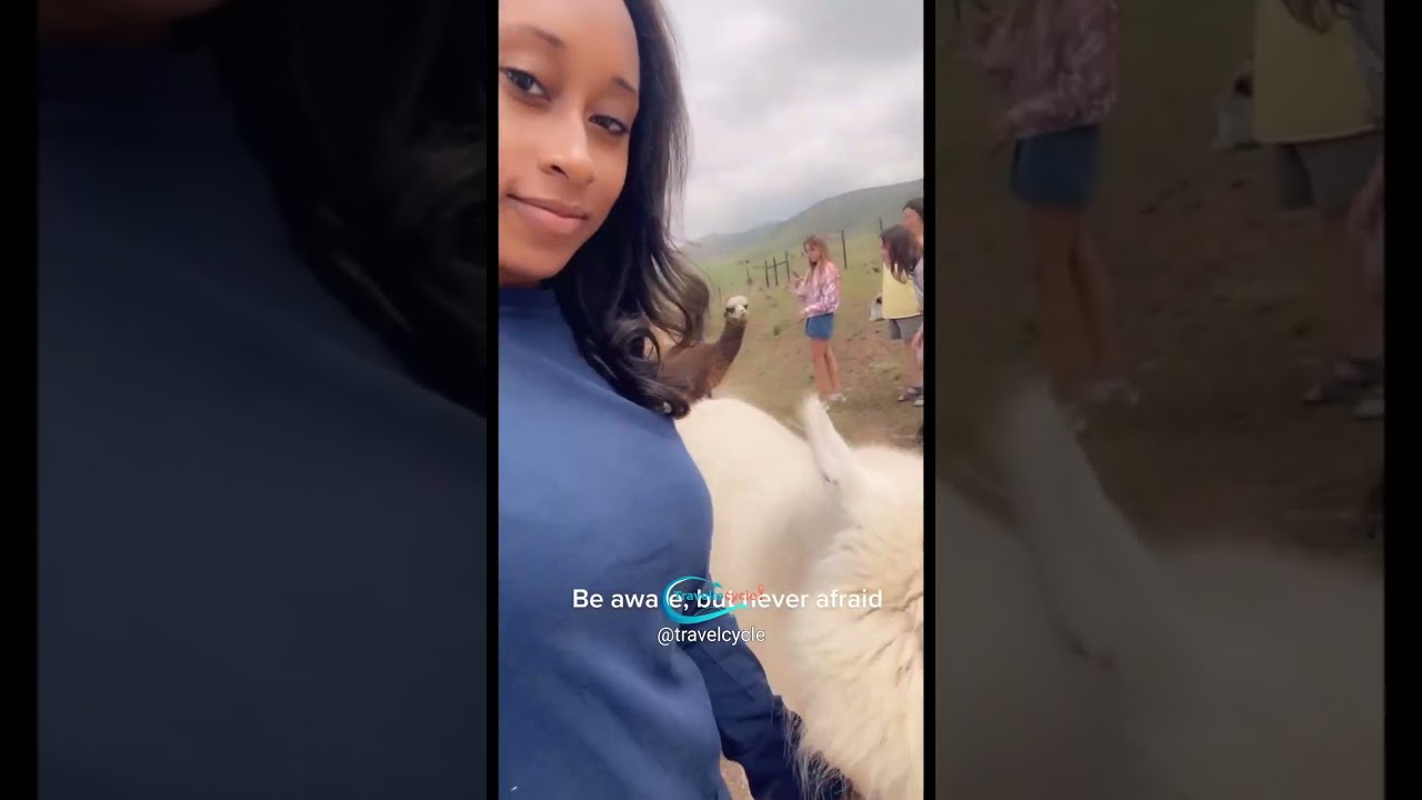 Top 5 things️️ via molifetravels tiktok