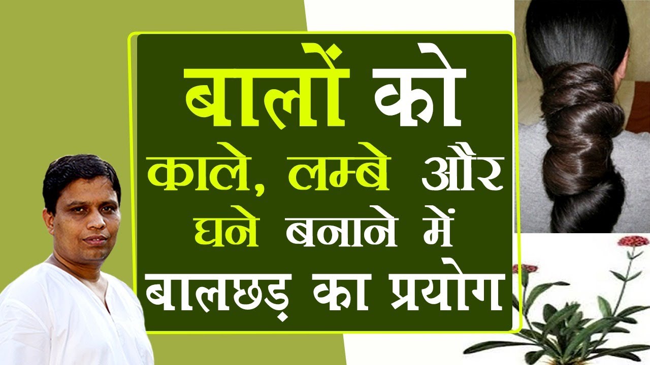 बालों को काले,लम्बे और घने बनाने में बालछड़ का प्रयोग | Acharya Balkrishna
