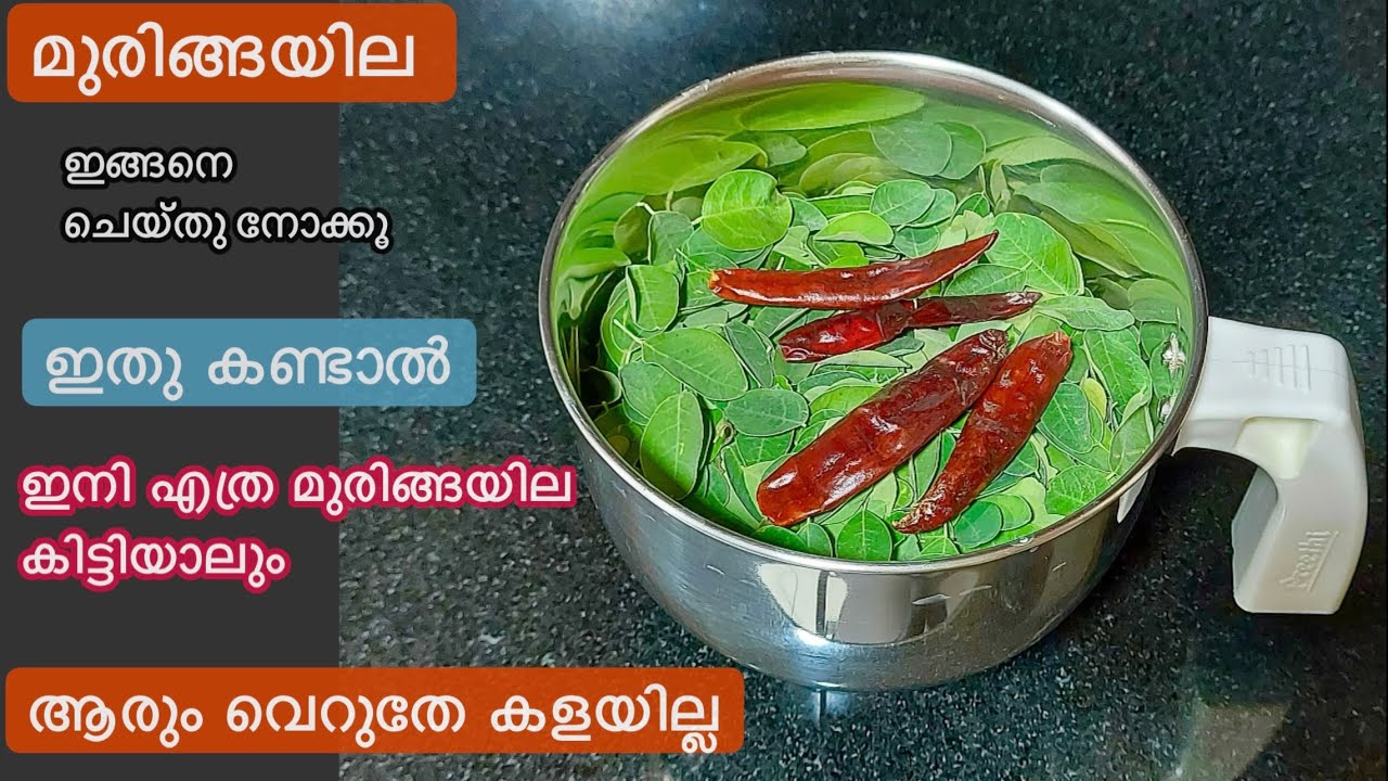 മുരിങ്ങയില മിക്സിയിൽ ഒറ്റകറക്കൽ/കണ്ടു നോക്കു വെറുതെയാവില്ല//Muringayila Chutney Podi//Moringa Recipe