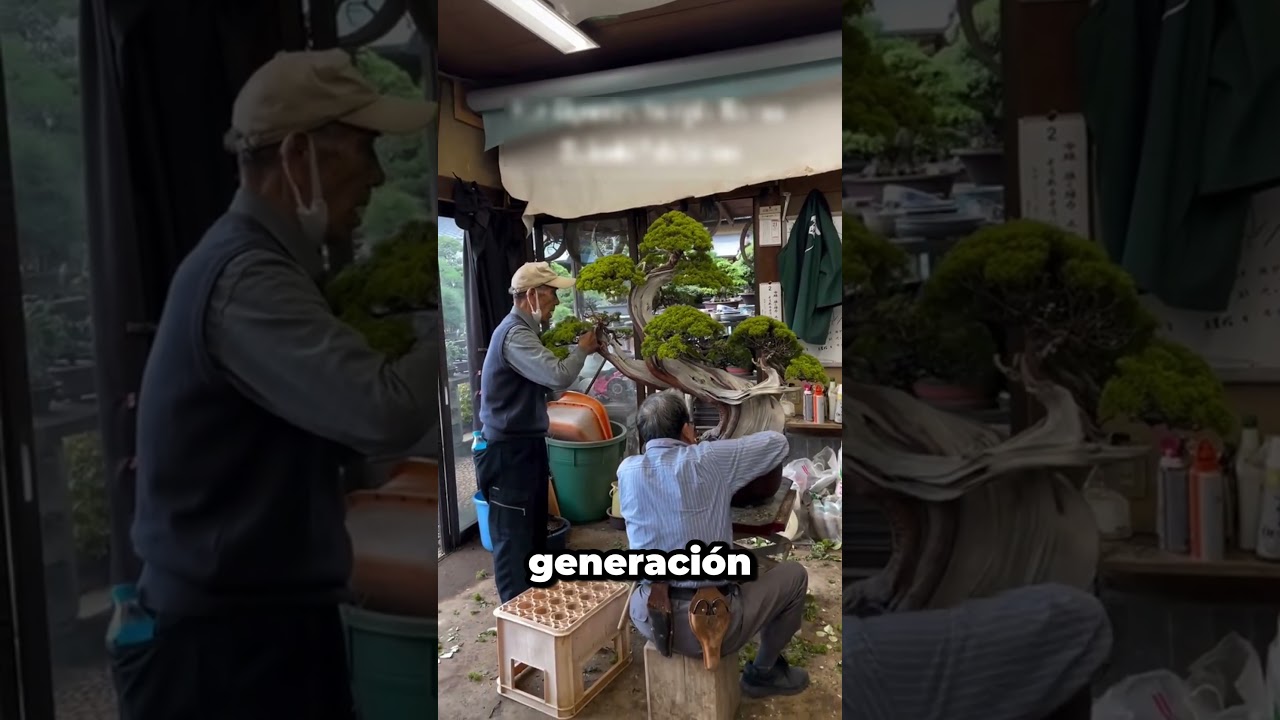 El negocio millonario de los bons&aacute;is