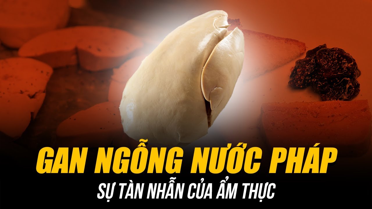SỰ THẬT TÀN NHẪN ĐẰNG SAU MÓN GAN NGỖNG NƯỚC PHÁP | TINH HOA ẨM THỰC VÀ QUY TRÌNH CHẾ BIẾN RÙNG RỢN!