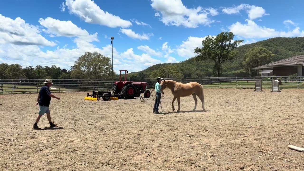Storm flexion tests 