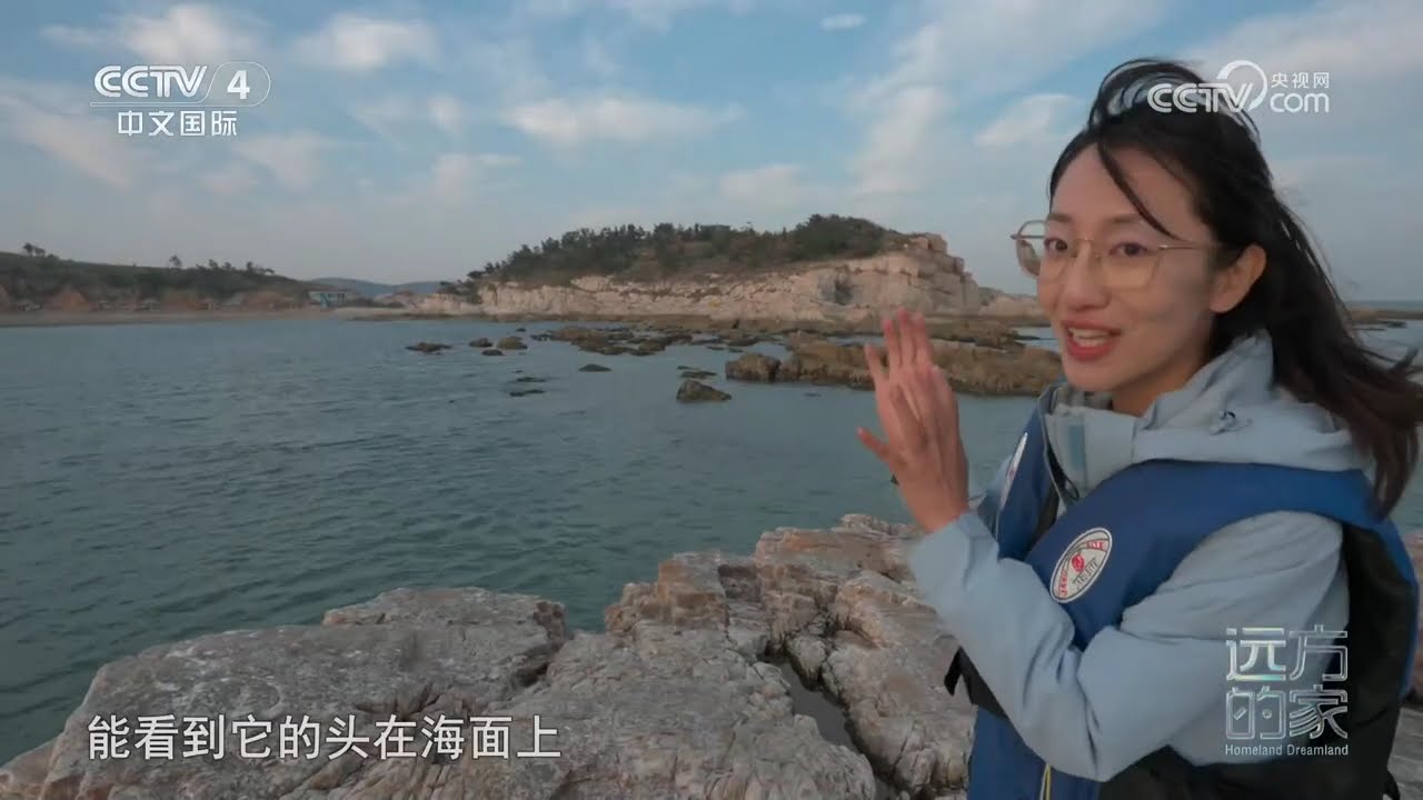 [远方的家]山河锦绣看中国——跃动山海 和谐家园 追寻定居长岛的斑海豹 | 中华地图