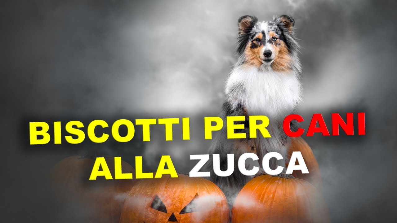 biscotti per cani fatti in casa alla ZUCCA