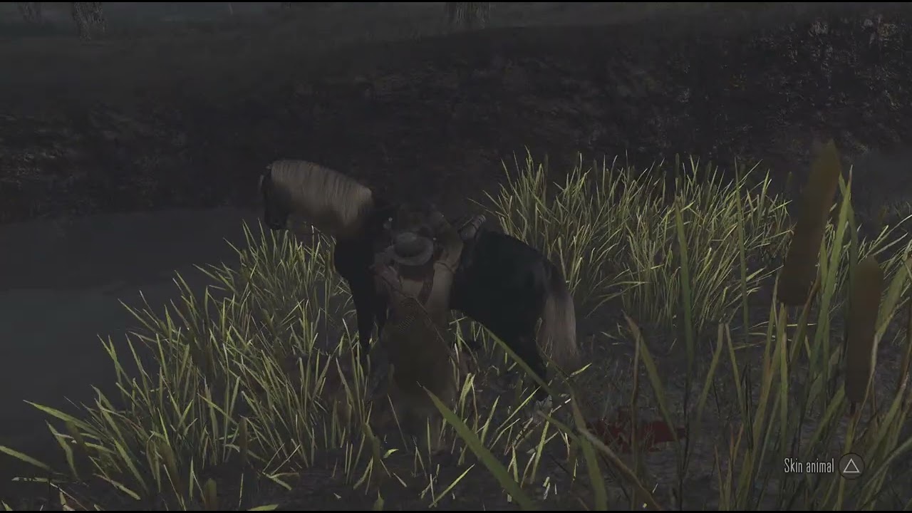 Red Dead Redemption Platinum Journey P 33