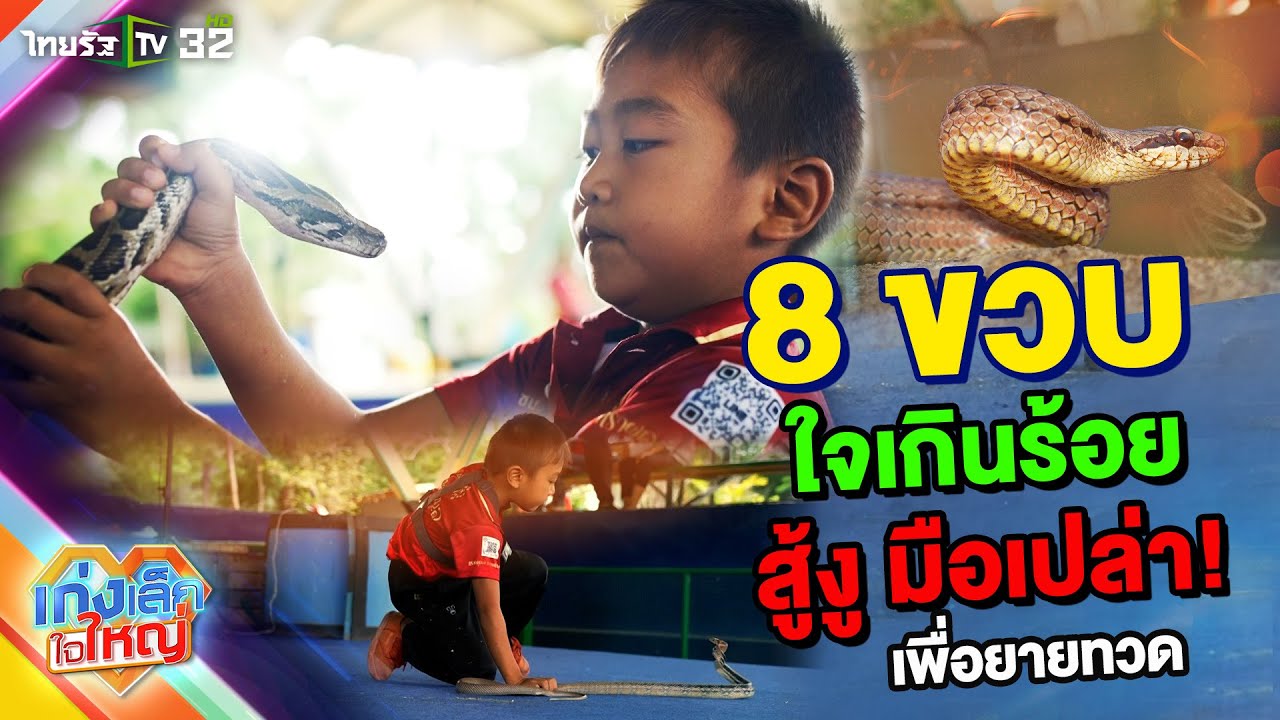 น้องเอวา 8 ขวบ สู้งู มือเปล่า เพื่อยายทวด | 11 ส.ค. 67 | เก่งเล็กใจใหญ่