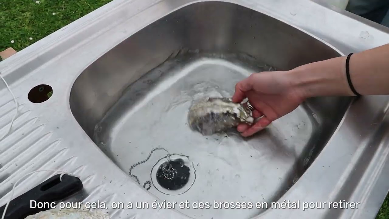 Projet Coquilab - Valorisation des coquilles vides