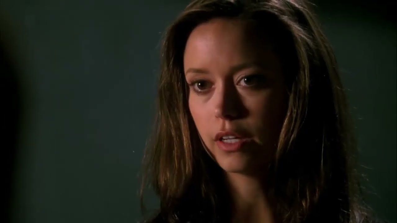 Terminator: TSCC - 