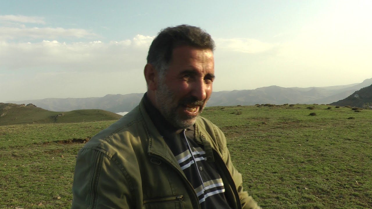 Almastı və Qar Adamı haqqında