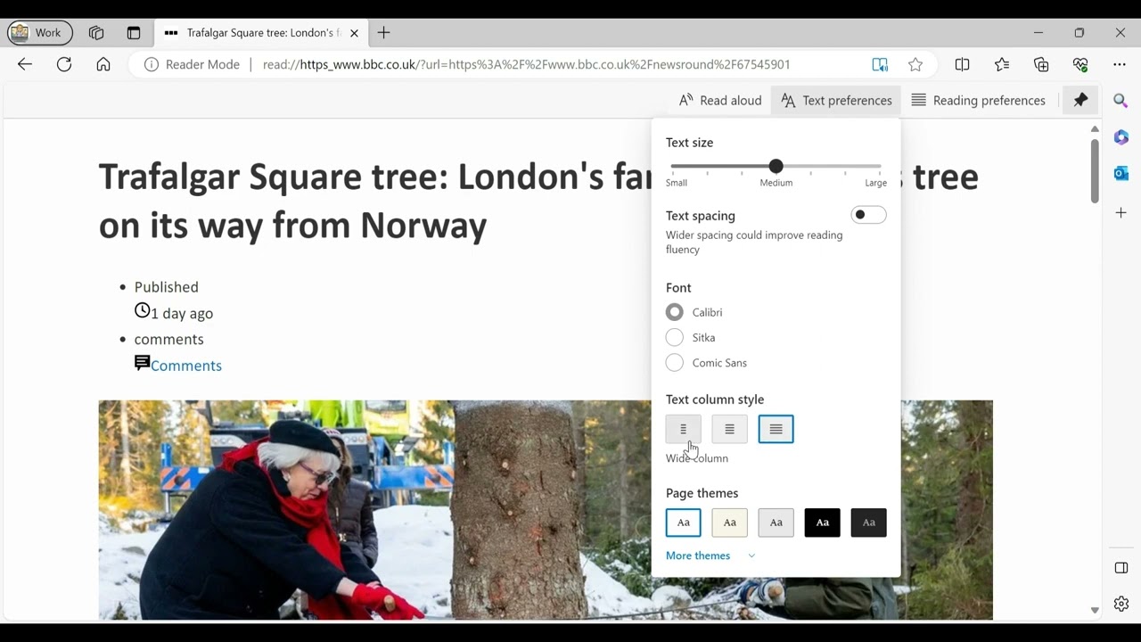 Using Immersive Reader on MS Edge