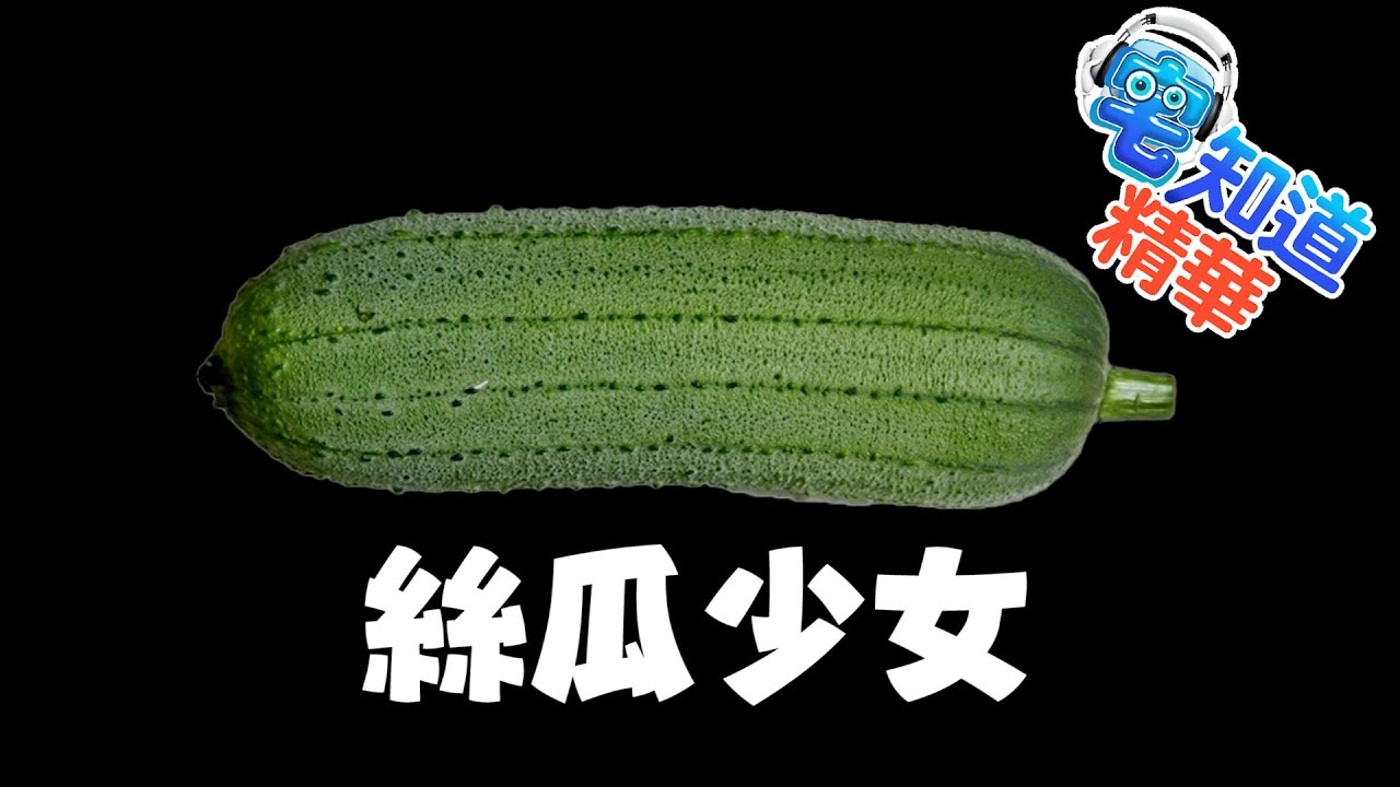 【現在宅精華】絲瓜少女 ｜6tan、鳥屎 Feat.  @AbbyLinLin