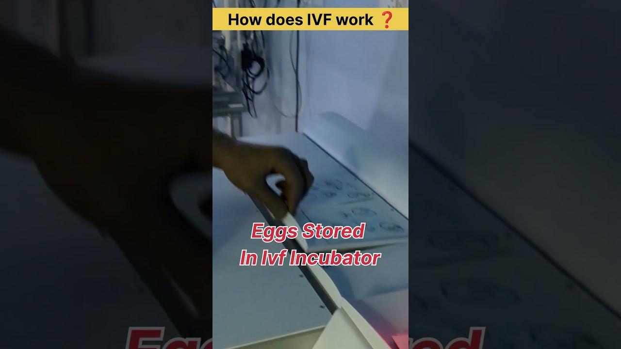 How does IVF work ❓ IVF treatment for pregnancy #drrakshitamalik #ivfspecialist #ivfdoctor #doctor