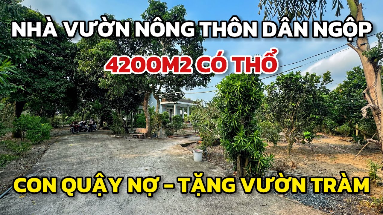 Nhà vườn nông thôn rộng 4200m2 đất thổ, ngộp giảm 800tr, cách đường lớn 30m gần trung tâm TPHCM