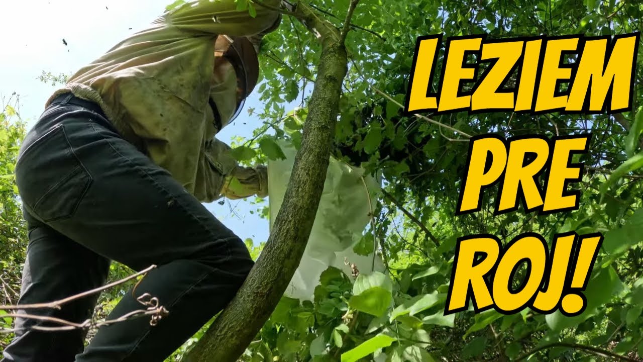 Leziem pre roj do húštiny! Akcia, včely a adrenalín