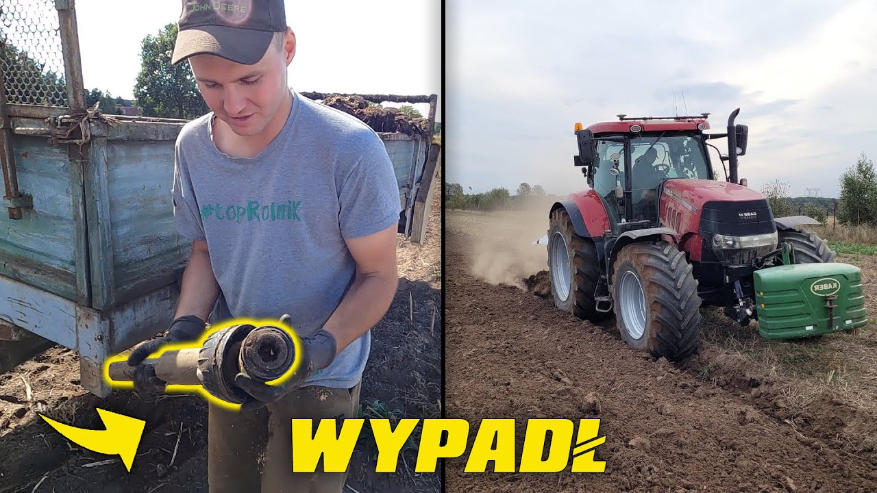 Wyleciał Wałek - Ursus C-360 VS 600 Ton Obornika - Orka Na Dwa Traktory