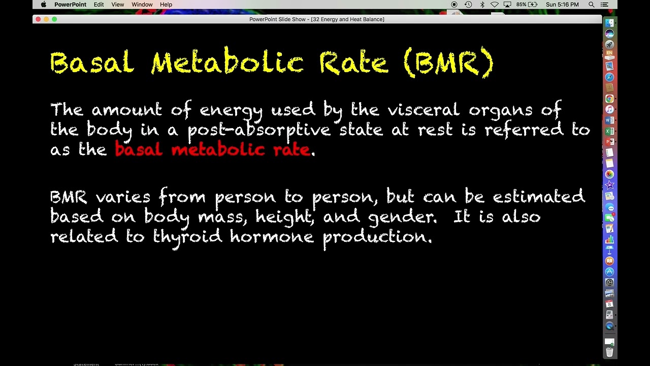 Human Physiology # 32 - Energy and Heat Balance