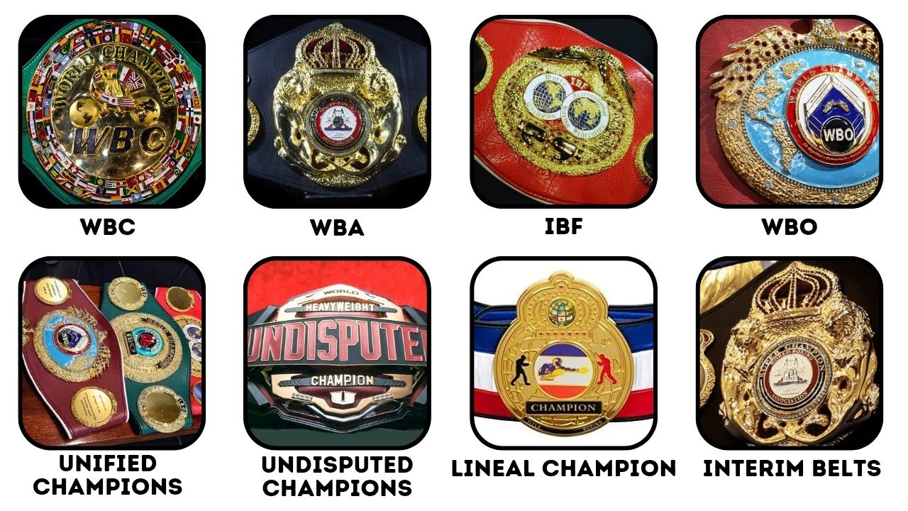 Every Boxing Belt Explained in 15 Minutes
