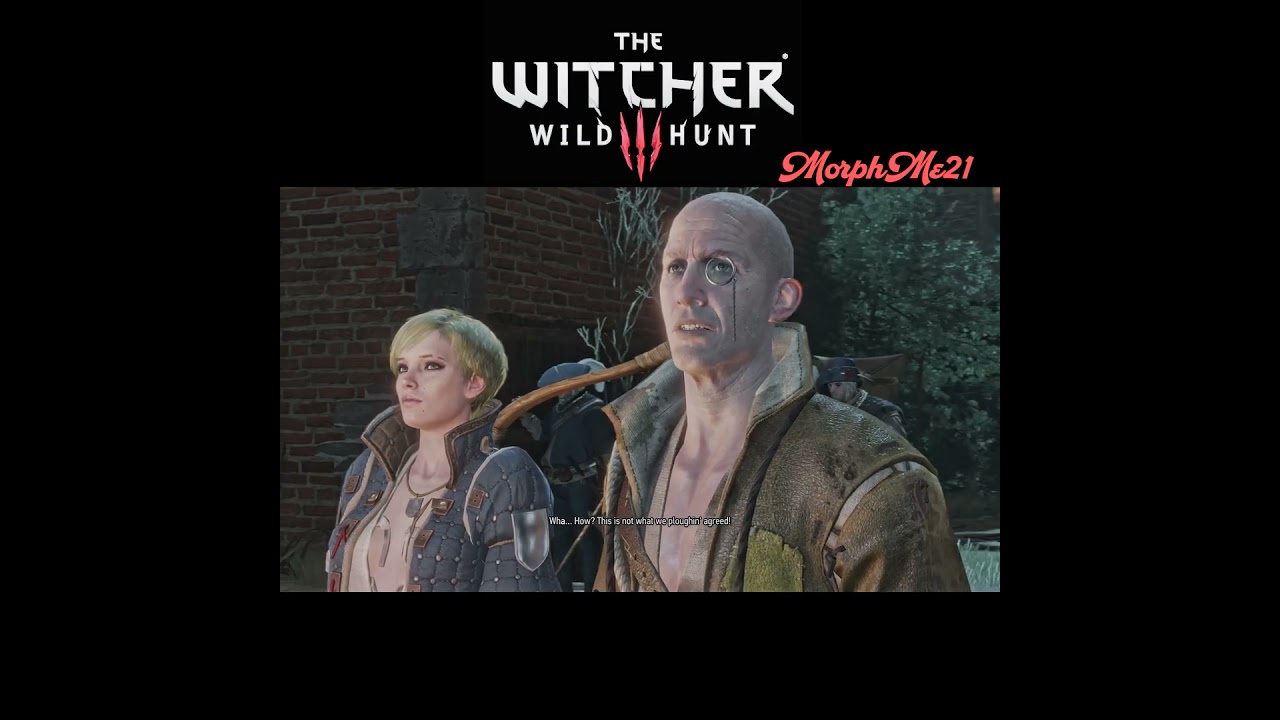 Dijskra's Hail Mary🏴 (Witcher 3)