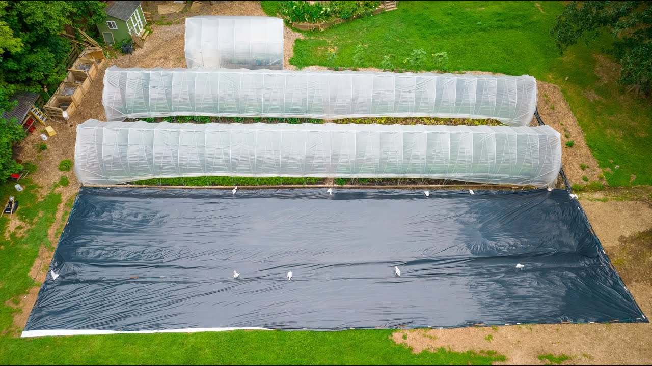Using Tarps on a No-Till Farm