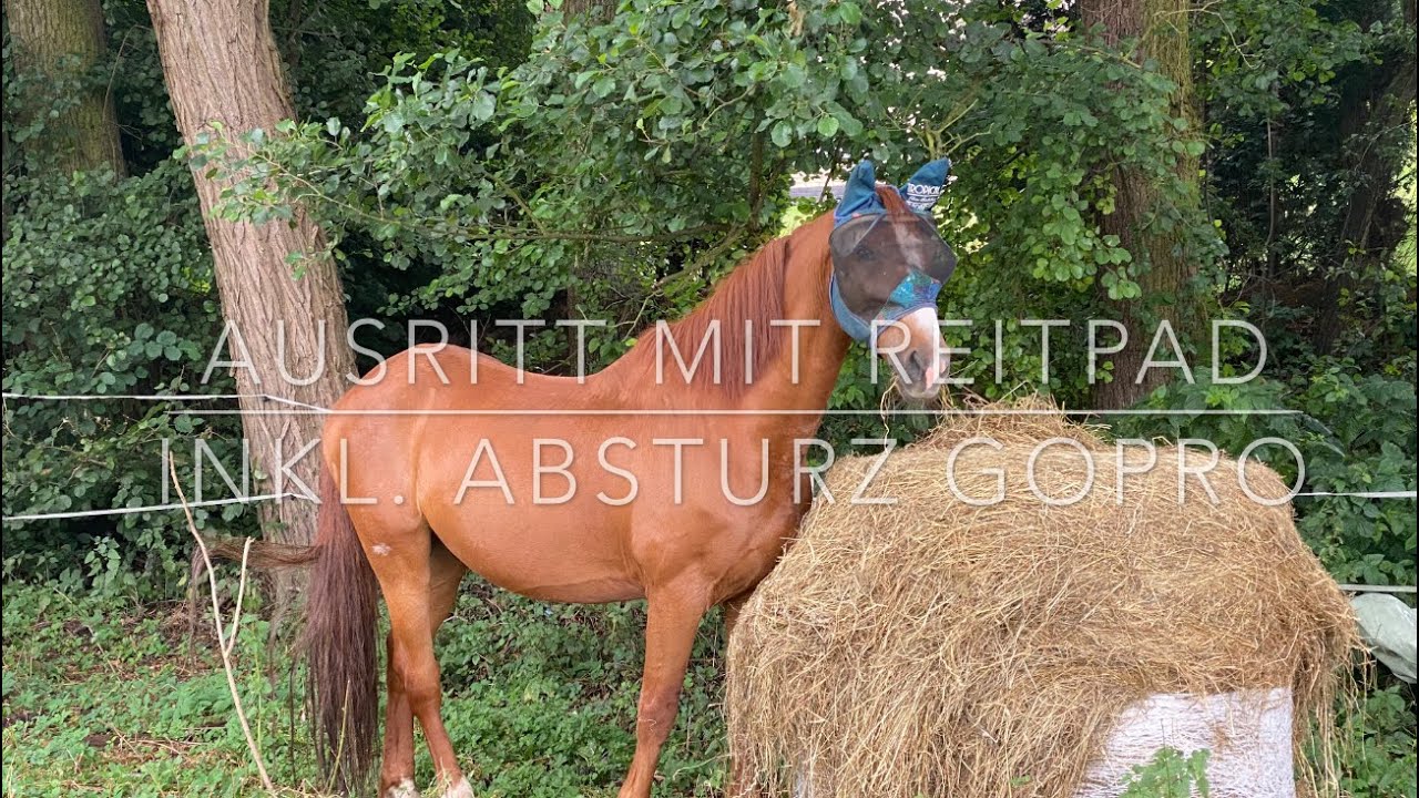 Ausritt mit Reitpad - Absturz GoPro