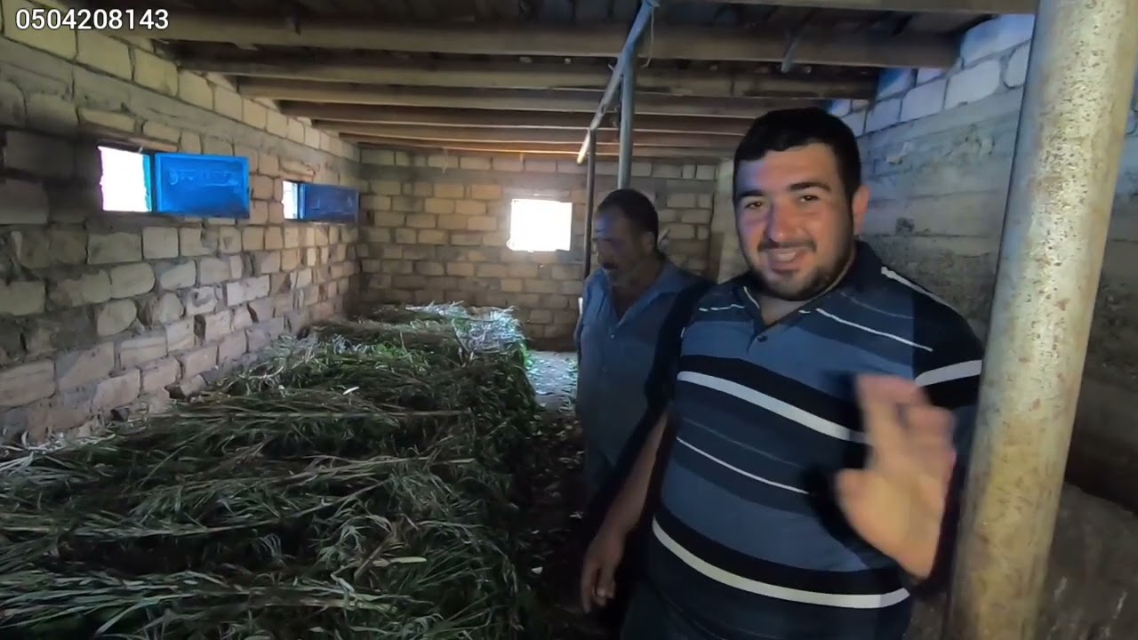 29 05 21 1ci h.Bir coxlarınızın eşidib görmədiyiniz barama qurdu hahda məlumat👍👍