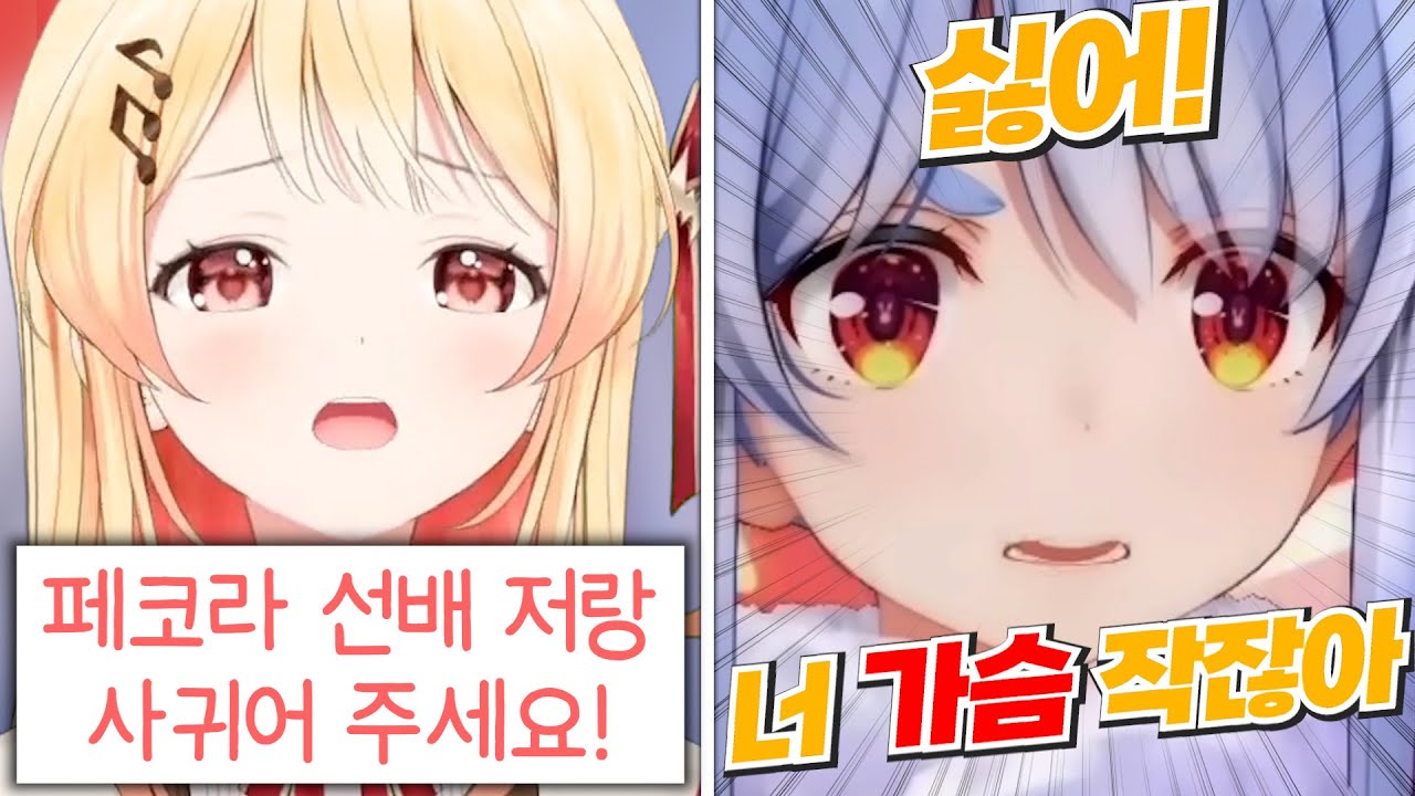 거절사유 : 가1슴크기 [홀로라이브 | 우사다 페코라 | 오토노세 카나데]