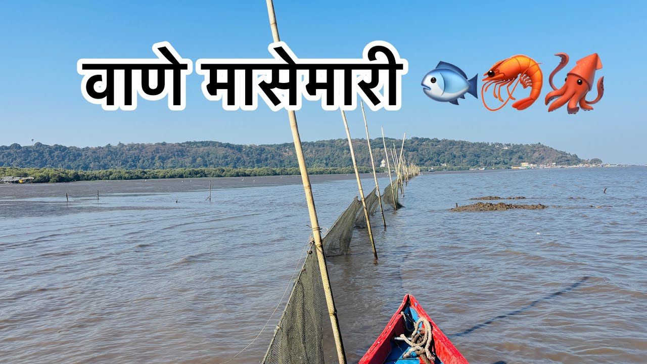 वाणे मासेमारी 🐟🦐🦑