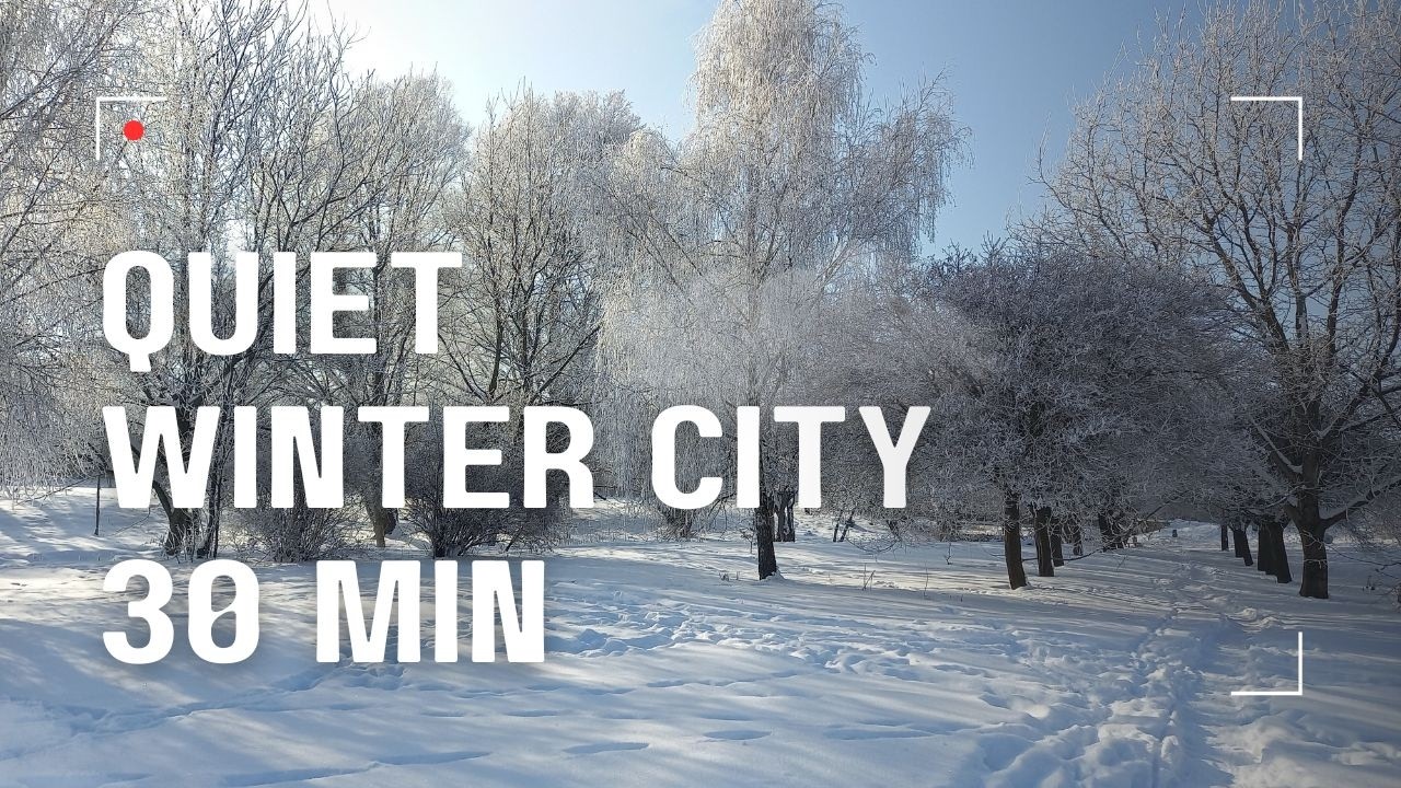 Quiet Winter City - 30 Minutes of Snowy Park Ambience | Nature Relax Space