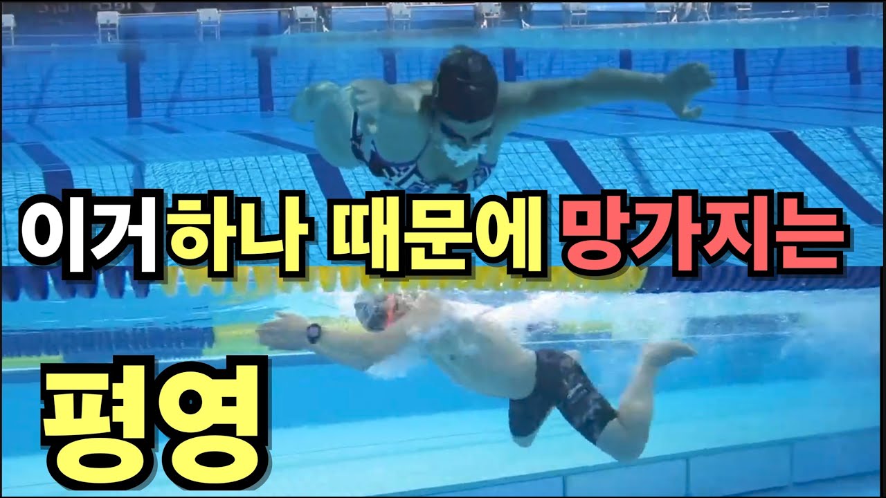 이런 평영 너무 많습니다,, (피드백 포함)