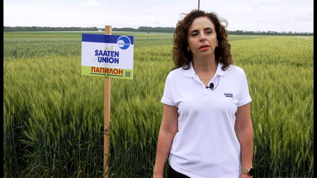 ПШЕНИЦА И  ЕЧЕМИК ОТ SAATEN UNION – ИЗБОРЪТ  НА ПРОФЕСИОНАЛИСТИТЕ