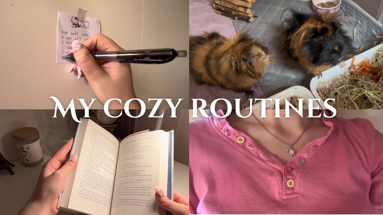 My night and morning routine💫💗 | haul🛍️| what’s in my bag 👜| guinea pigs🐹 | 