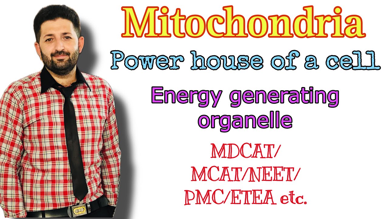 Mitochondria | Power house of a cell | Energy generating organelle | @doctoracademypk