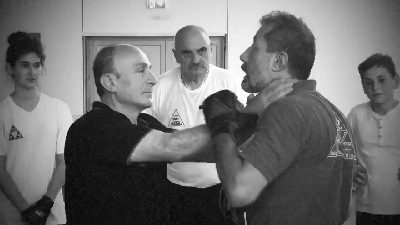 Avcı Wing Tsun Hildesheim Lehrgang Mai 2018