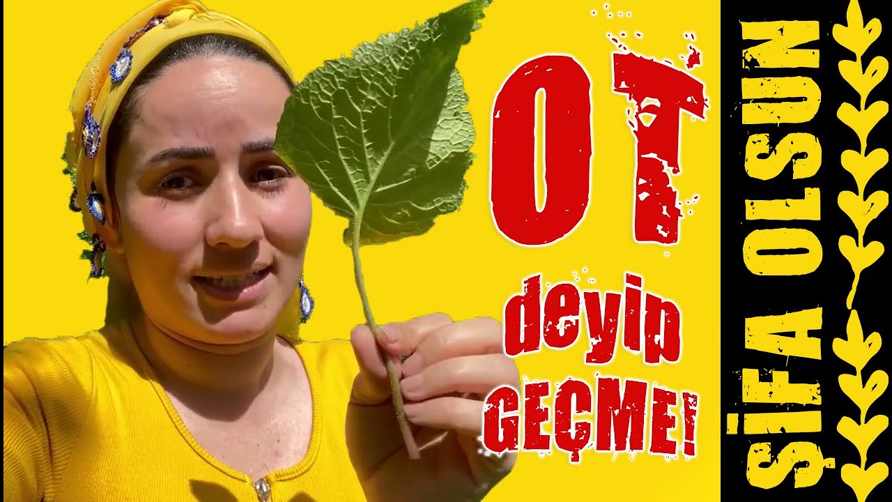 Gabalak Yemeyen de Ne Bilim :)