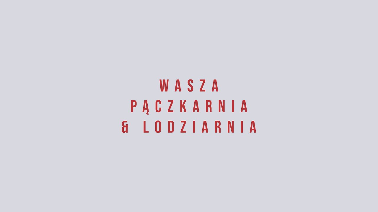 Otwórz z nami lodziarnie przyszłości! | Wasza pączkarnia & lodzarnia | Zielona Góra