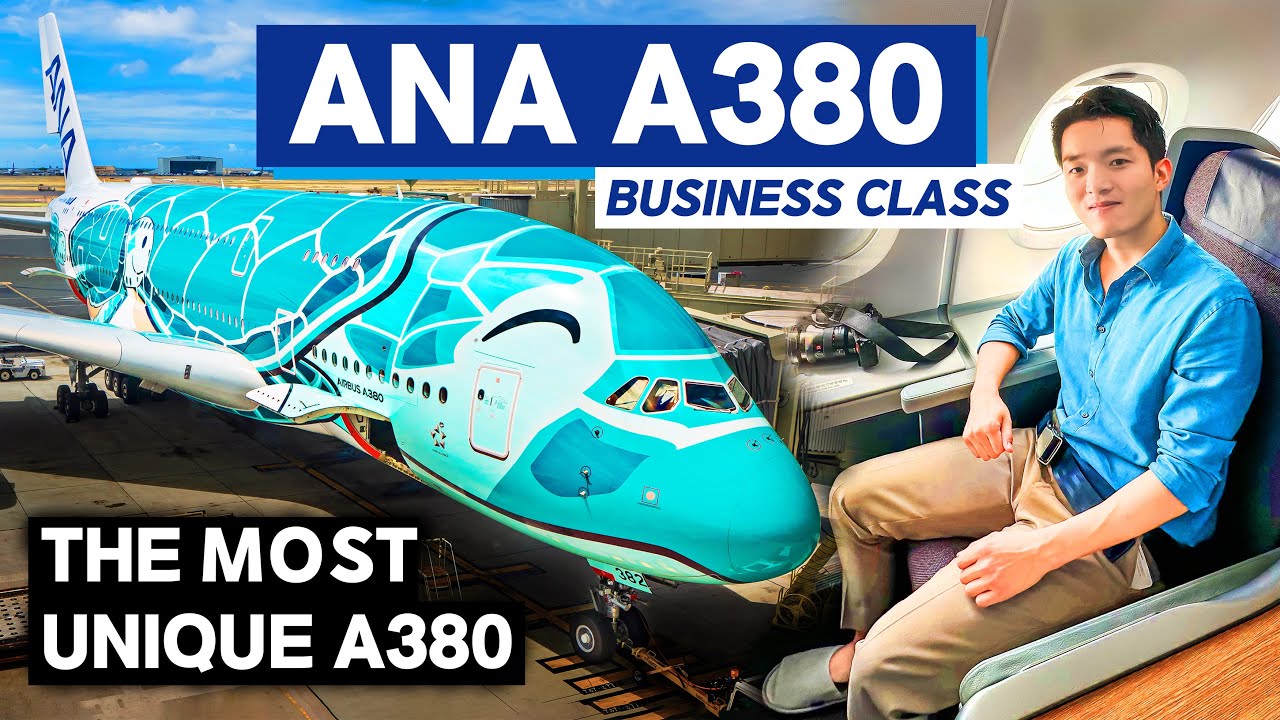 I flew on the World’s Most Unique Airbus A380 | ANA “Flying Honu” Business Class
