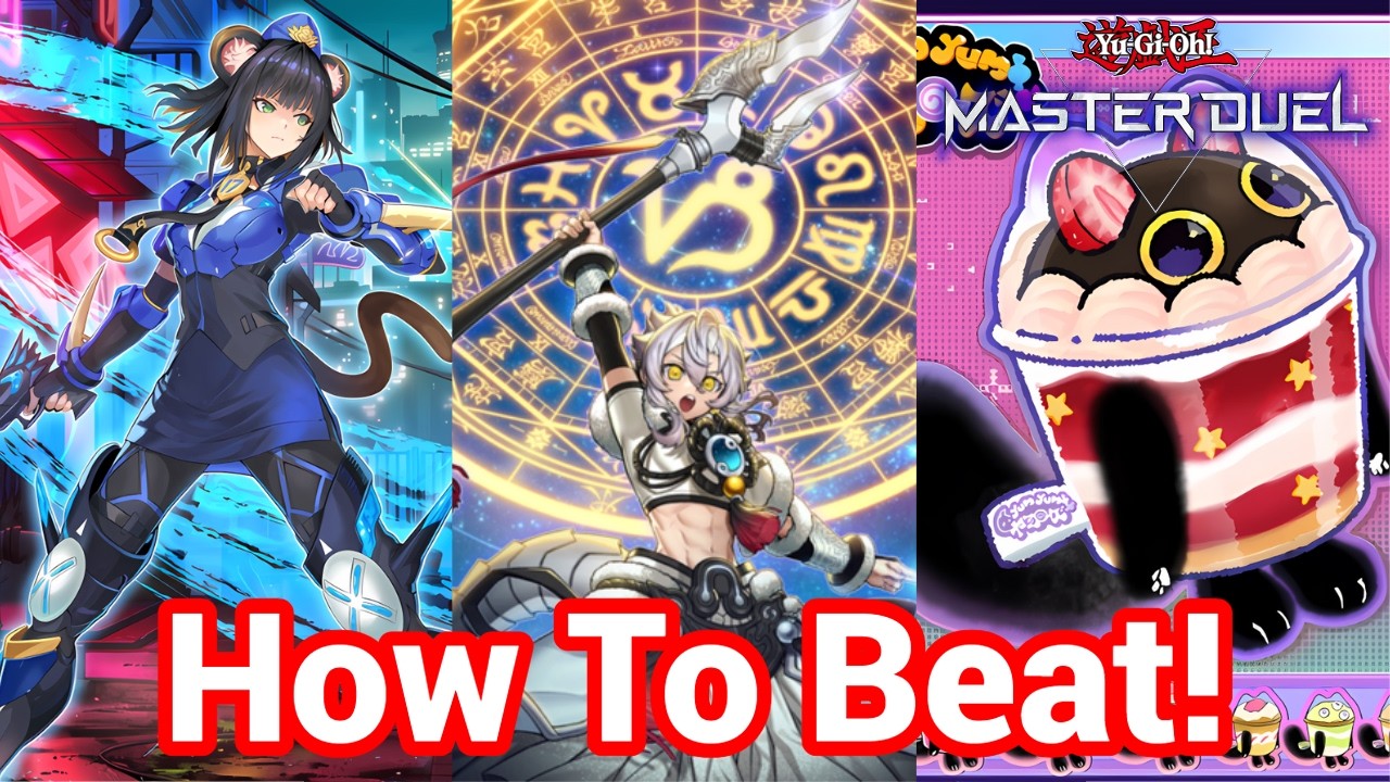How to Beat The Best Decks For the Duelist Cup! | Dracotail, Yummy, K9VS |