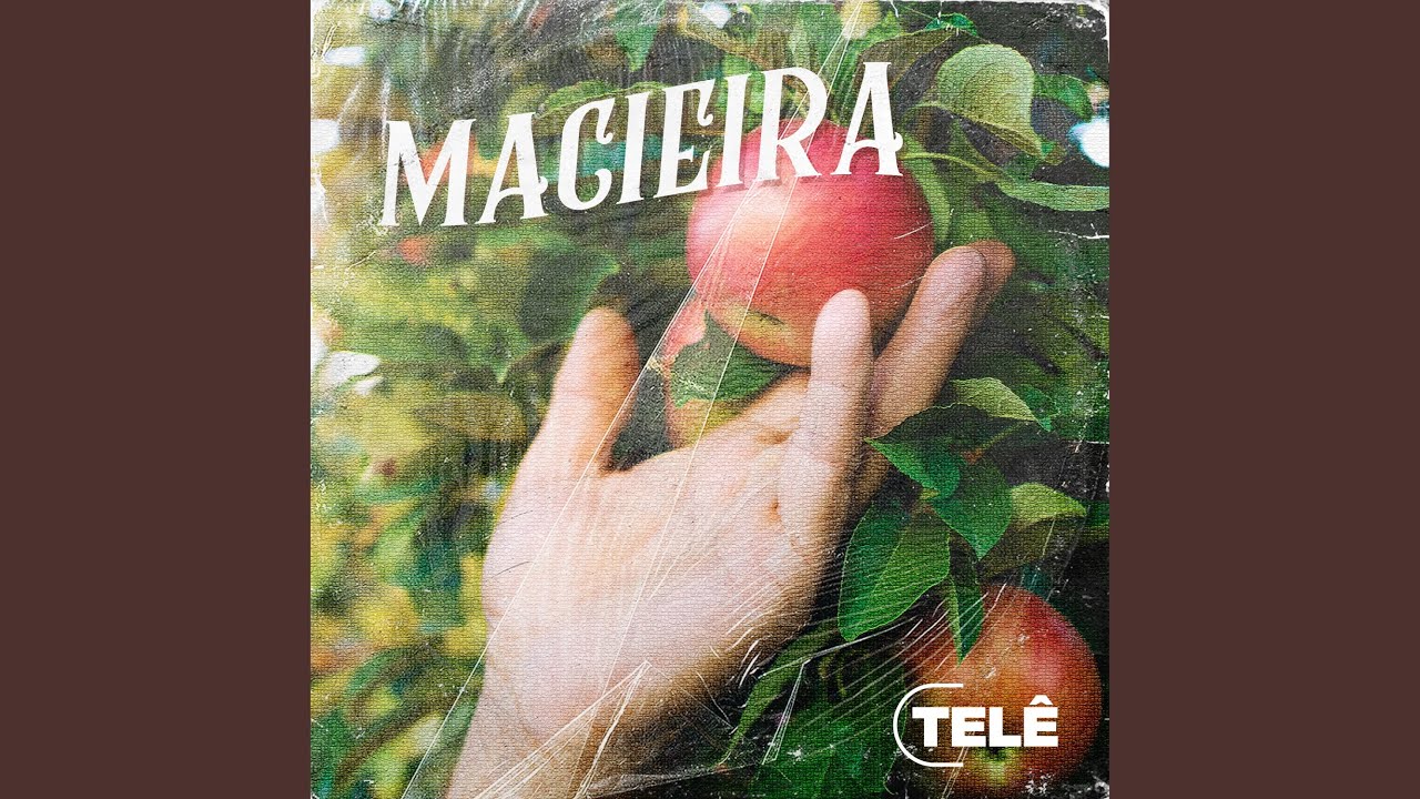 Macieira