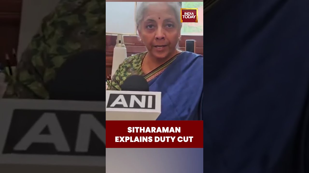 Nirmala Sitharaman Explains Petrol Diesel Excise Duty Cut | India Today