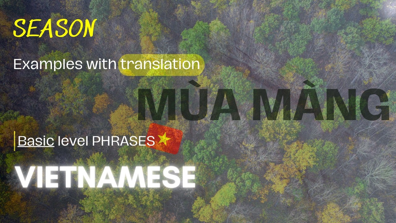 Learn Vietnamese Vocabulary | Basic Level | MÙA – Seasons with Examples & Practice