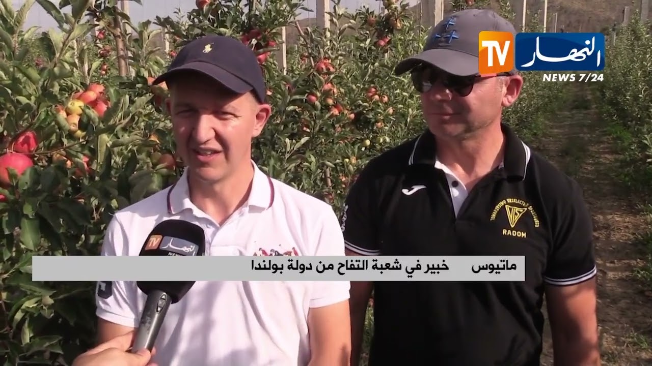 خنشلة: بلدية بوحمامة تحقق نجاحا في زراعة التفاح بشهادة خبراء أجانب