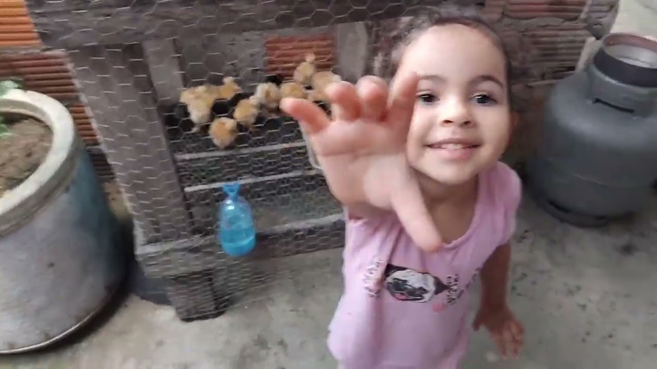 Comprei 20 pintinhos pra levar para o Sítio. 
