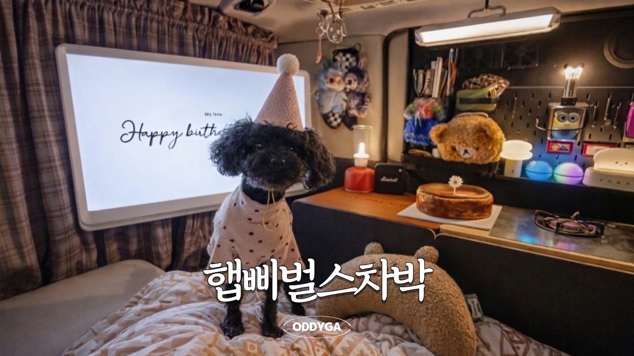 레이차박🚙 태블릿 거치 꿀팁 공개📱｜강아지와 단둘이, 세상에서 가장 고요했던 노지 차박｜마라탕 · 불닭볶음면
