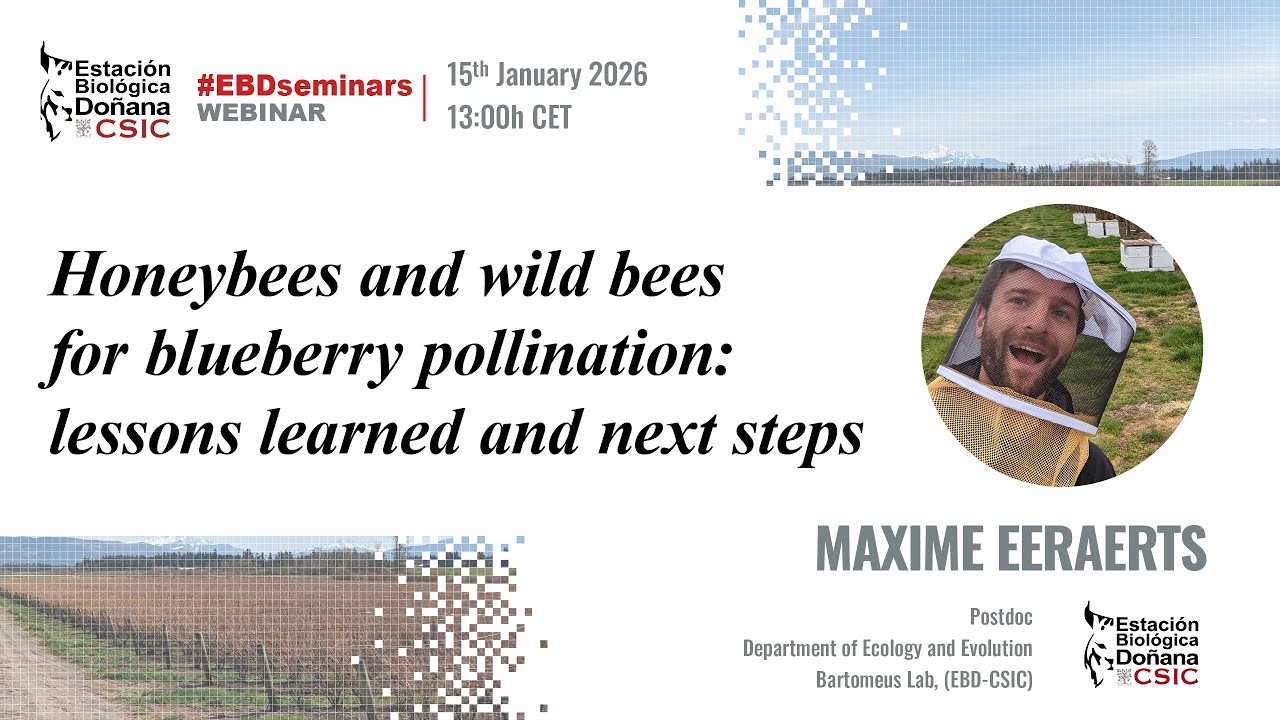 EBD Seminars | Maxime Eeraerts